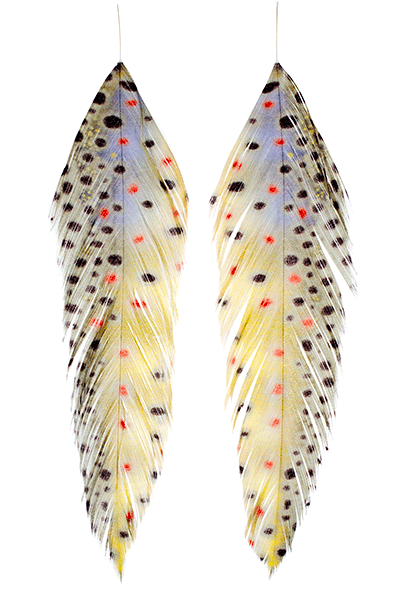 Galloup's Fish Feathers