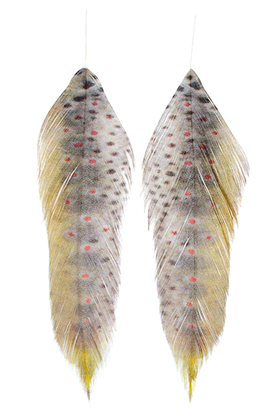 Galloup's Fish Feathers