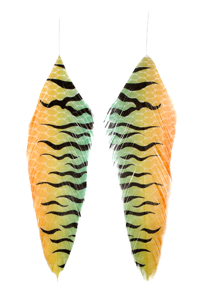 Galloup's Fish Feathers