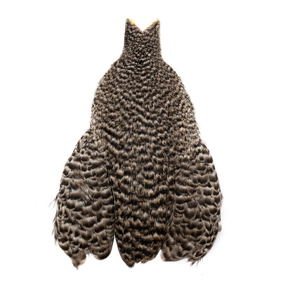 Whiting 4B Hen Capes
