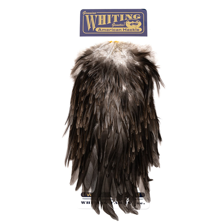 Whiting American Rooster Saddles