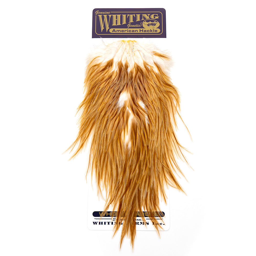 Whiting American Rooster Saddles