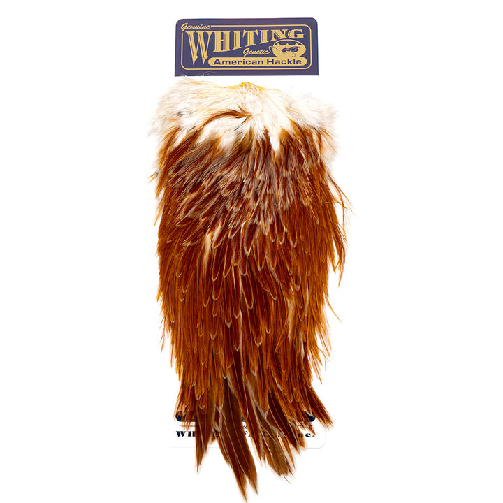 Whiting American Rooster Saddles