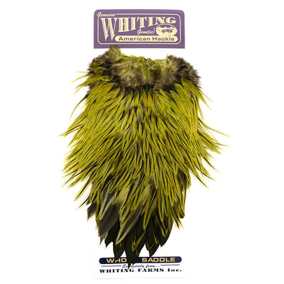 Whiting American Rooster Saddles