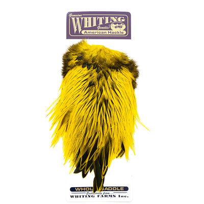 Whiting American Rooster Saddles