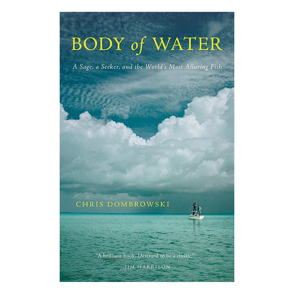 Body of Water by Chris Dombrowski