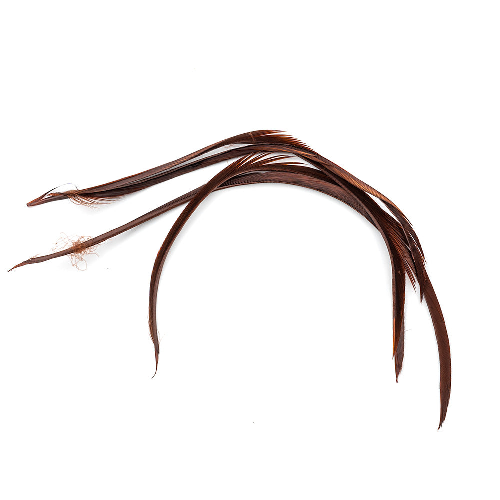 Goose Biots