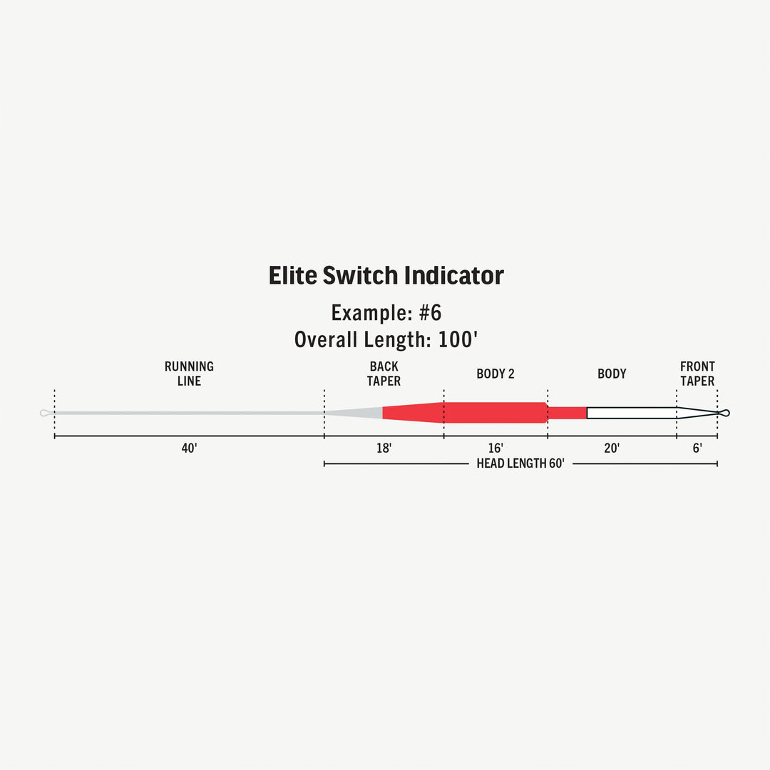 RIO Switch Indicator