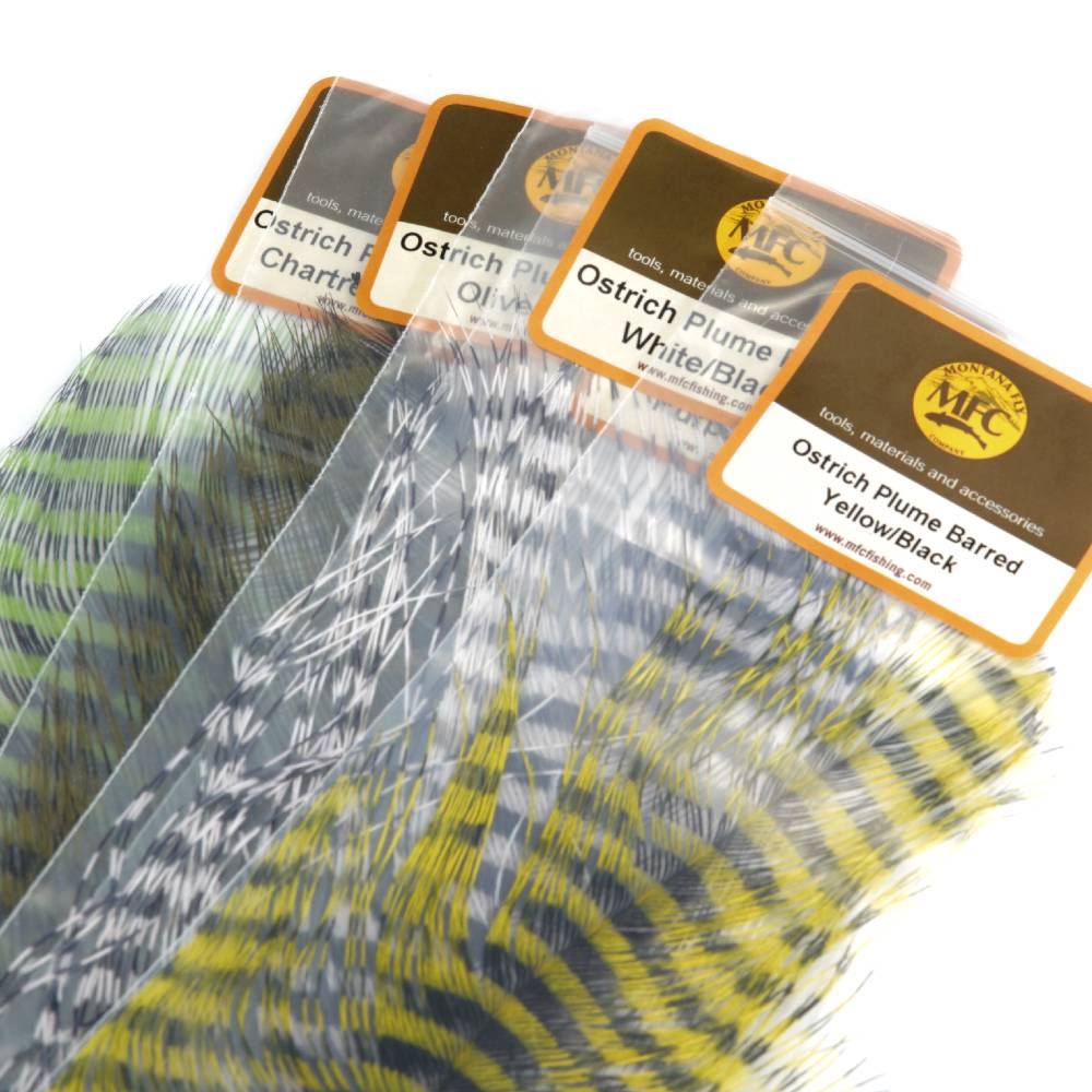 MFC Barred Ostrich Plumes