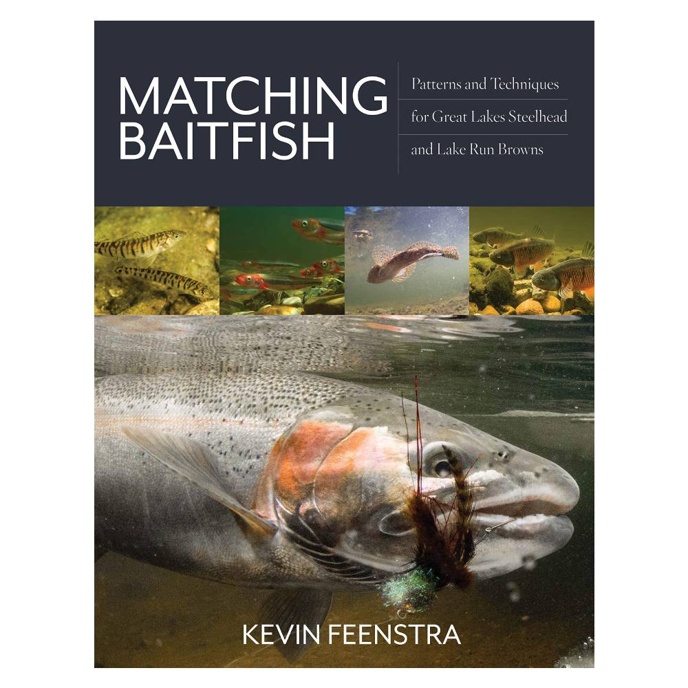 Matching Baitfish by Kevin Feenstra