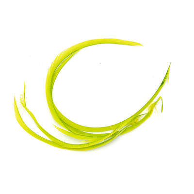 UV2 Goose Biots