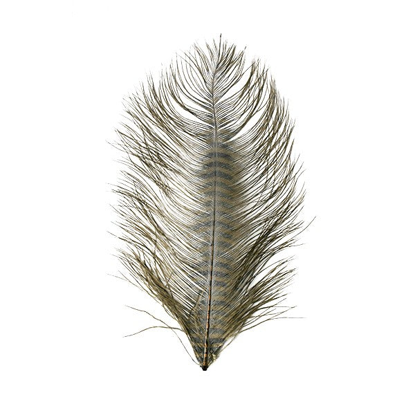 MFC Barred Ostrich Plumes