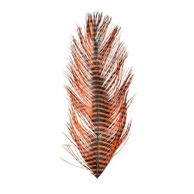 MFC Barred Ostrich Plumes