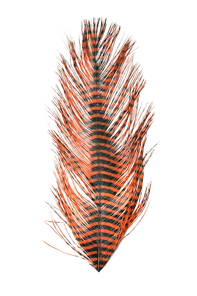 MFC Barred Ostrich Plumes