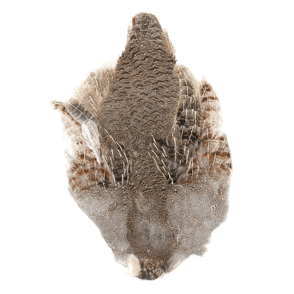 Hungarian Partridge Skin – The Northern Angler Fly Shop