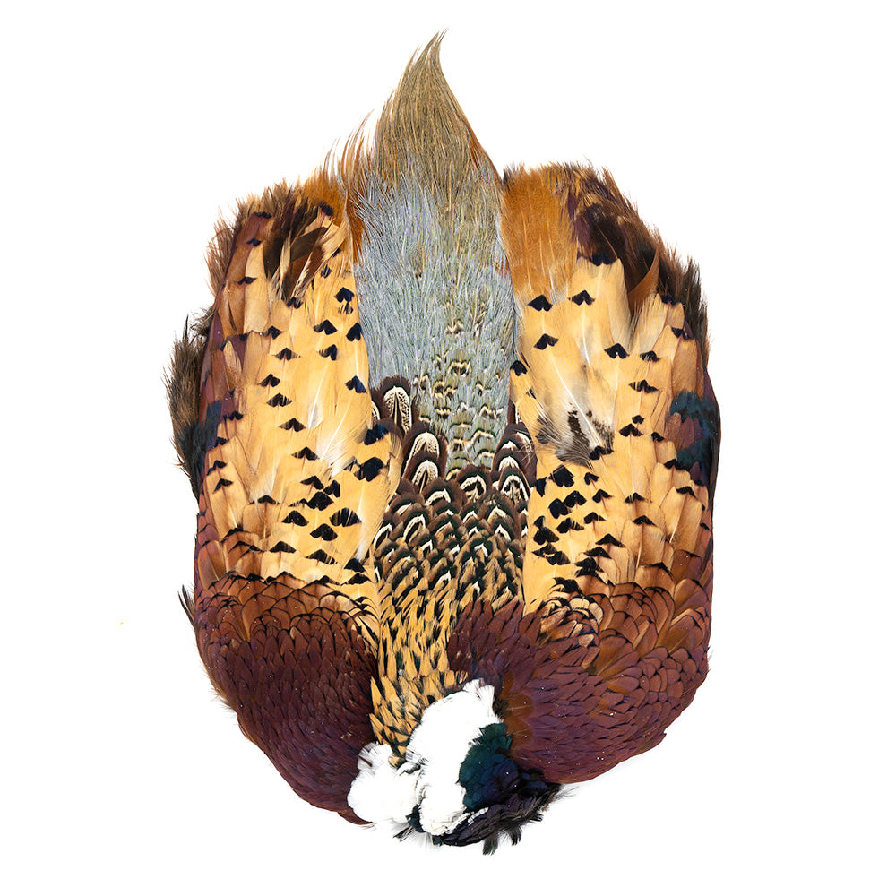Ringneck Pheasant Skin
