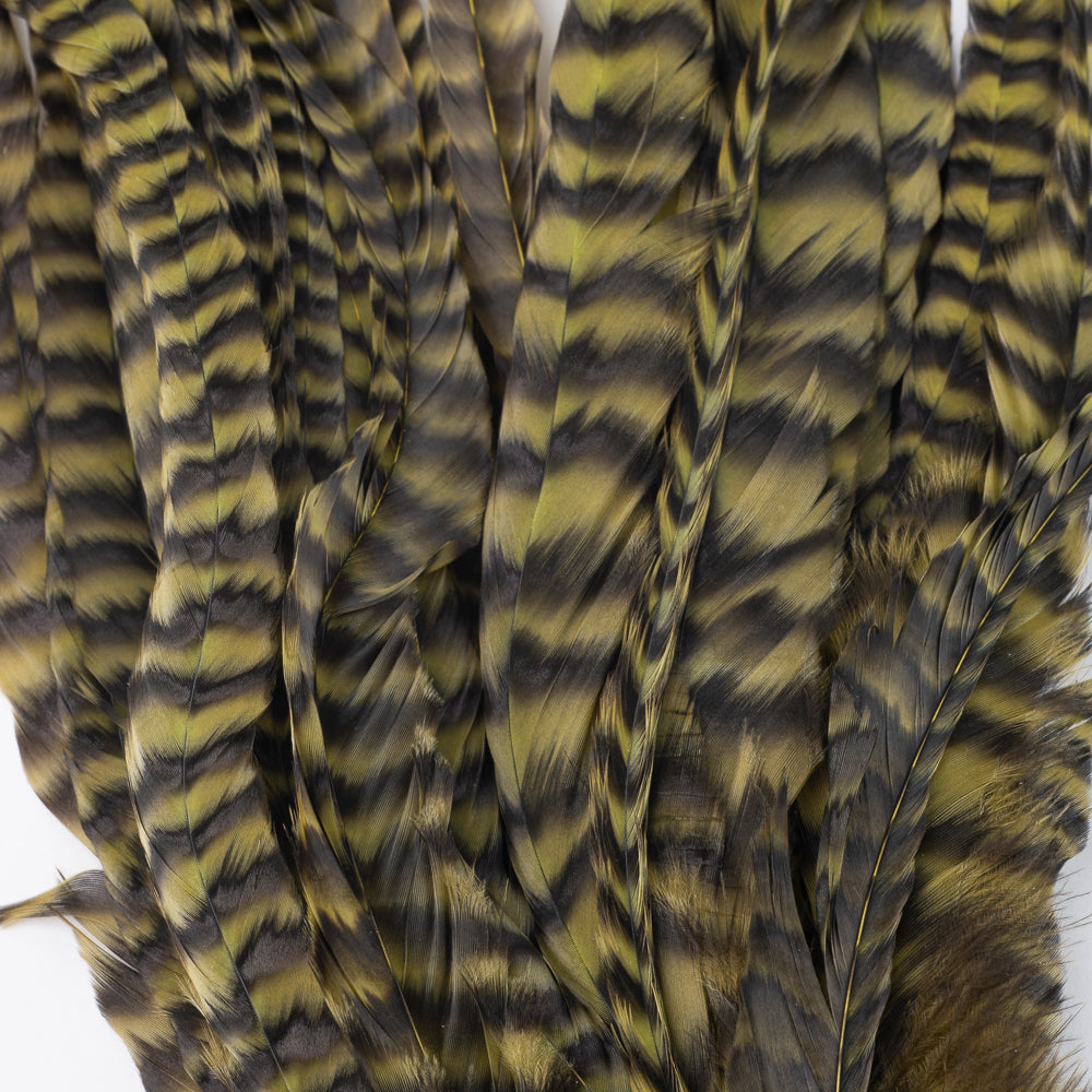 Whiting Schlappen Bundles