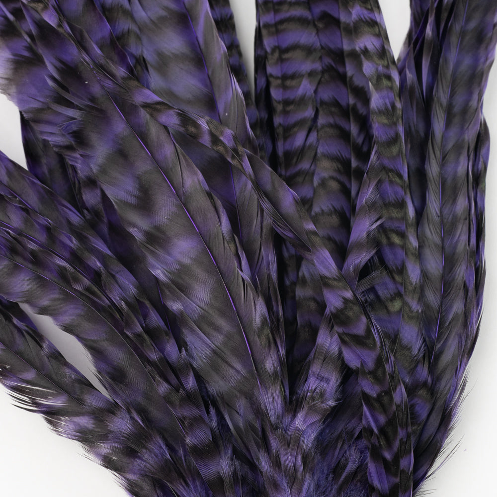 Whiting Schlappen Bundles