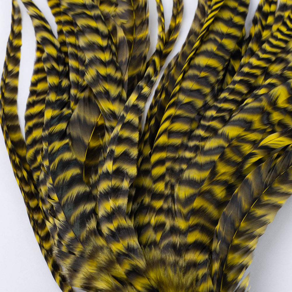 Whiting Schlappen Bundles