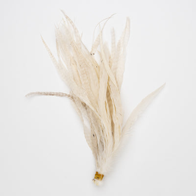 Whiting Schlappen Bundles