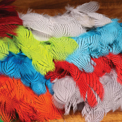 Silver Pheasant Body Feathers