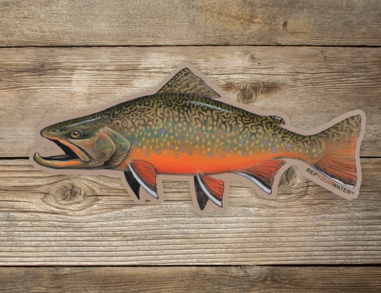Rep Your Water Fall Brookie Sticker