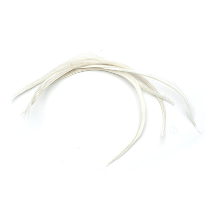 Goose Biots