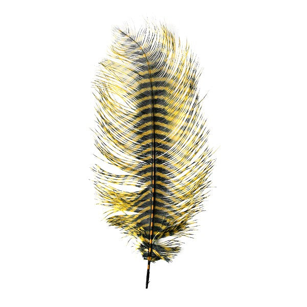 MFC Barred Ostrich Plumes