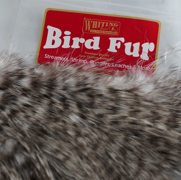 Whiting Bird Fur