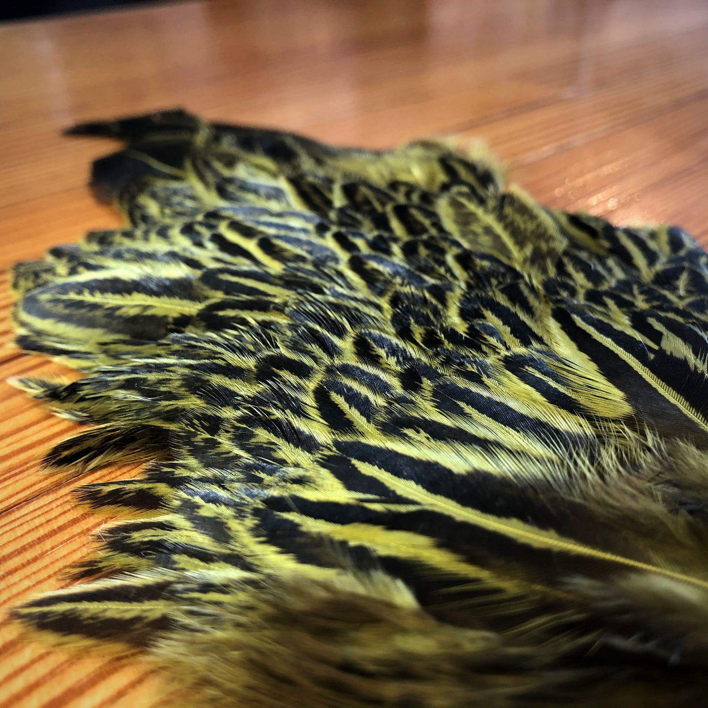 Soft Hackle Hen Patches