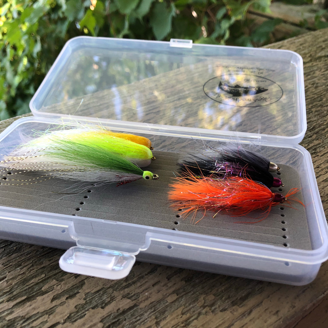 Clear Poly Box with Slot Foam