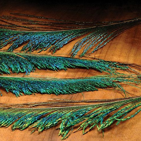 Peacock Swords