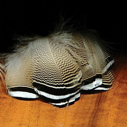 Black Barred Wood Duck Feathers